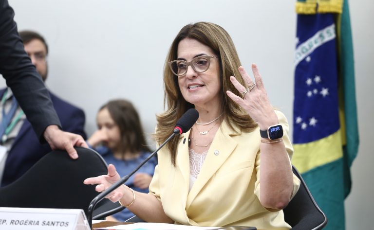 Grupo da Câmara cobra ação contra riscos digitais e lança cartilha sobre proteção de crianças