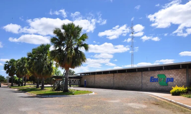 Embrapa Lança App Gratuito para Otimizar Construção de Barragens Subterrâneas no Semiárido Brasileiro