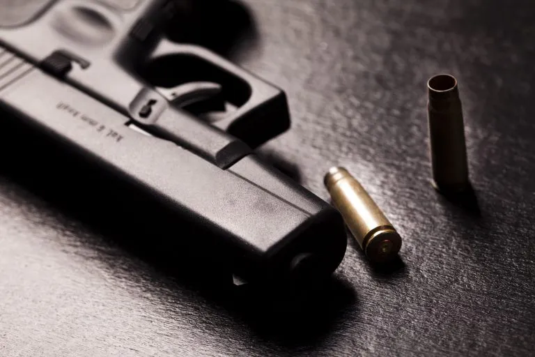 Porte de Arma Ampliado: Policiais Legislativos Estaduais Agora Podem Portar Arma em Serviço