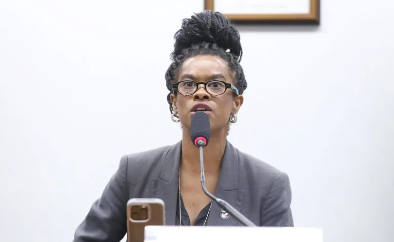 Carol Dartora assume presidência da Comissão de Cultura com foco em valorização profissional e política de Estado