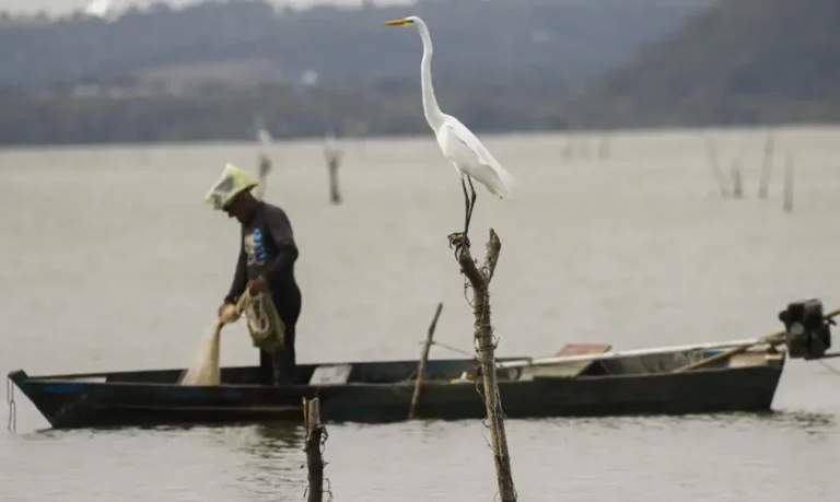 Seguro-defeso: novas regras aprovadas visam coibir fraudes e garantir benefício a pescadores legítimos
