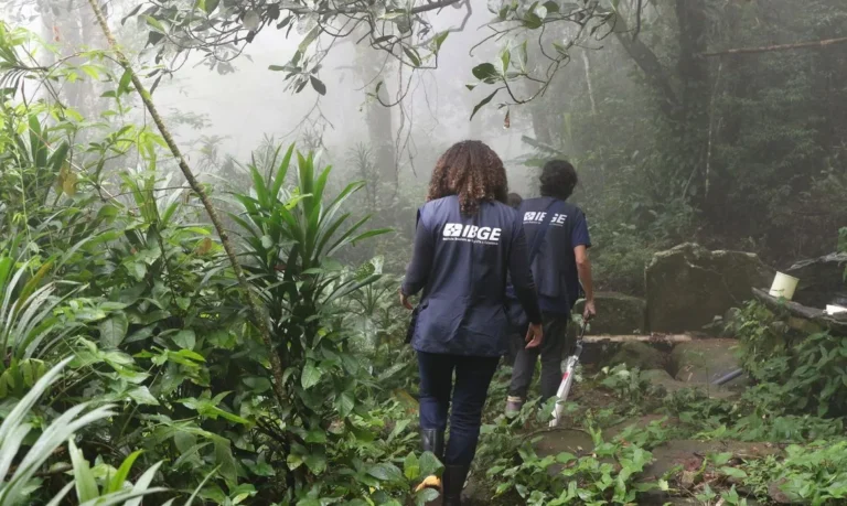 IBGE: Últimas horas para inscrições no censo agropecuário; veja vagas e salários