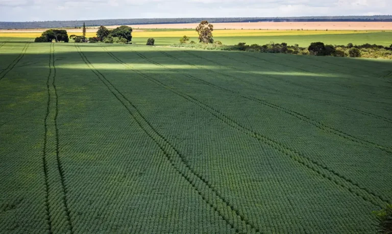 Senado impulsiona produção nacional de fertilizantes com novos incentivos