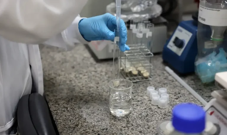 SBPC lança desafio a governadores: qual o lugar da ciência no seu projeto?